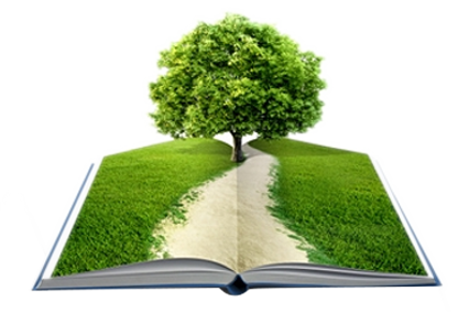 Sofware For School Management