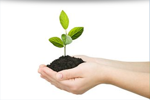 School Management System school-management-system-BSS